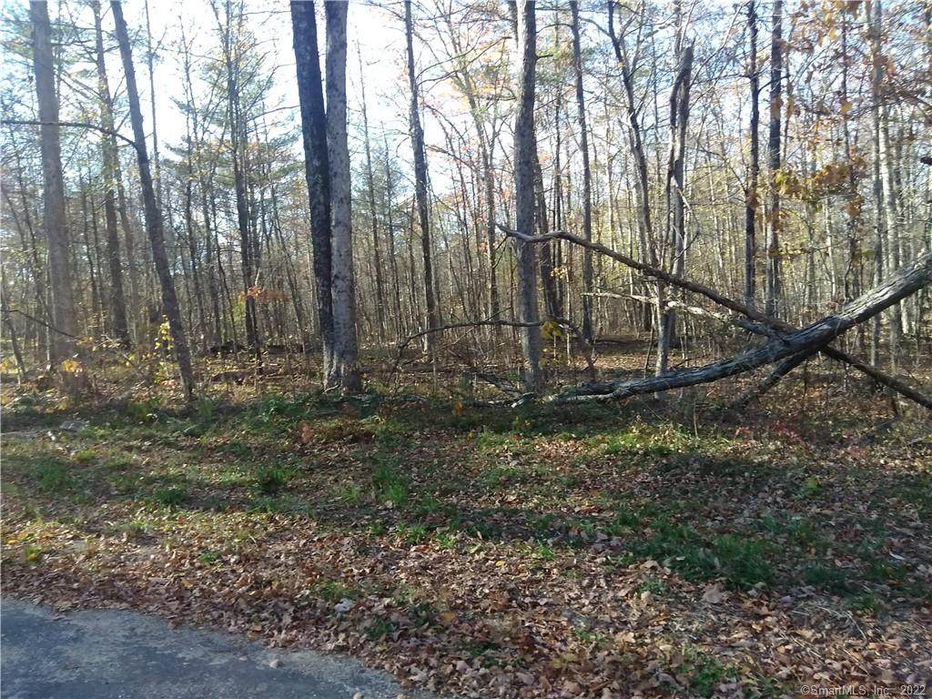 0 Aspen Hill Drive - Photo 1