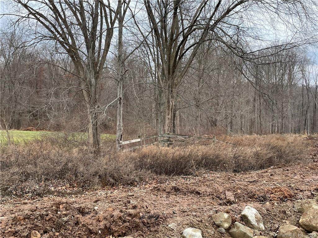 Lot 156 Reservoir Road - Photo 1