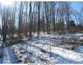 141 Ridgewood Road - Photo 1