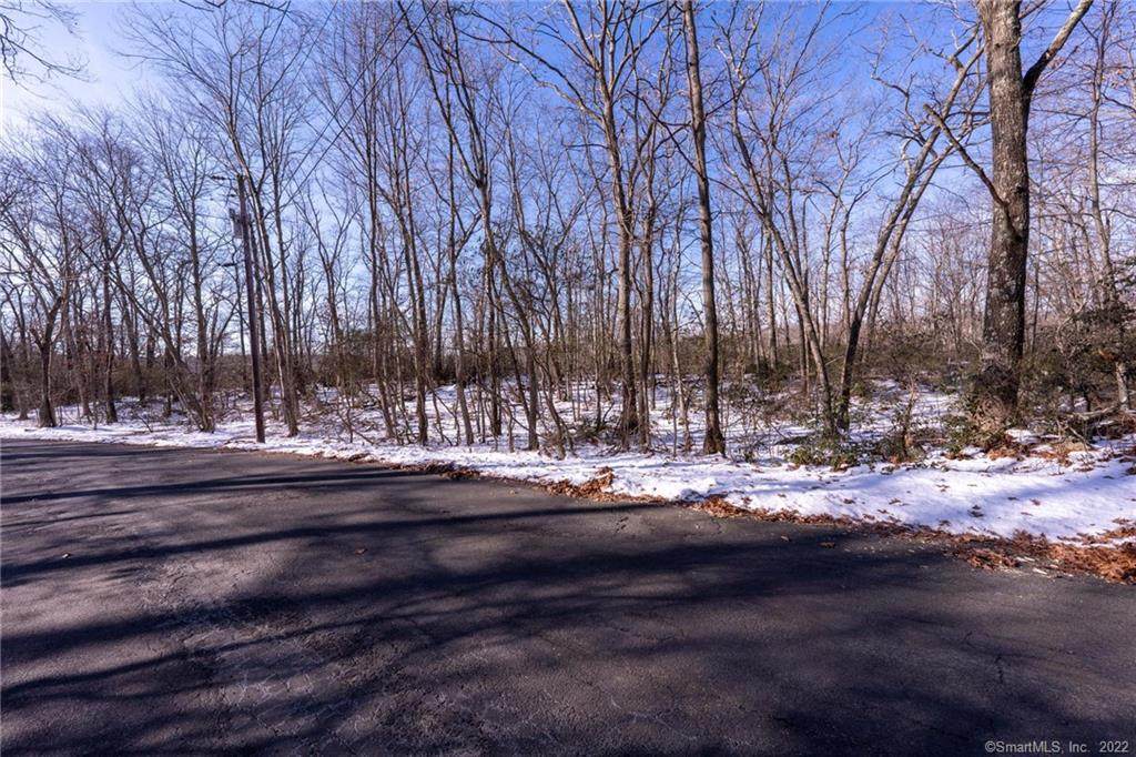 40 & 42 Old Cart Road - Photo 1