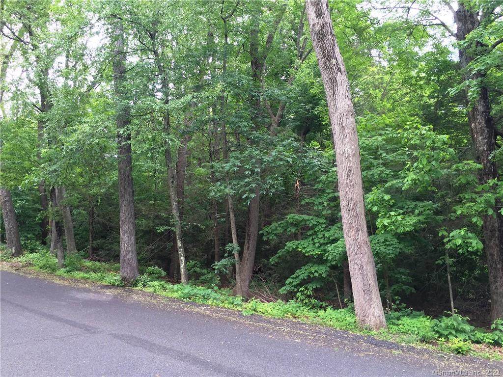 20 Denison Road - Photo 1
