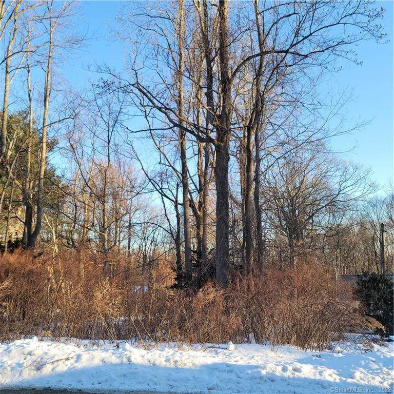 21 Merriman Lane - Photo 1