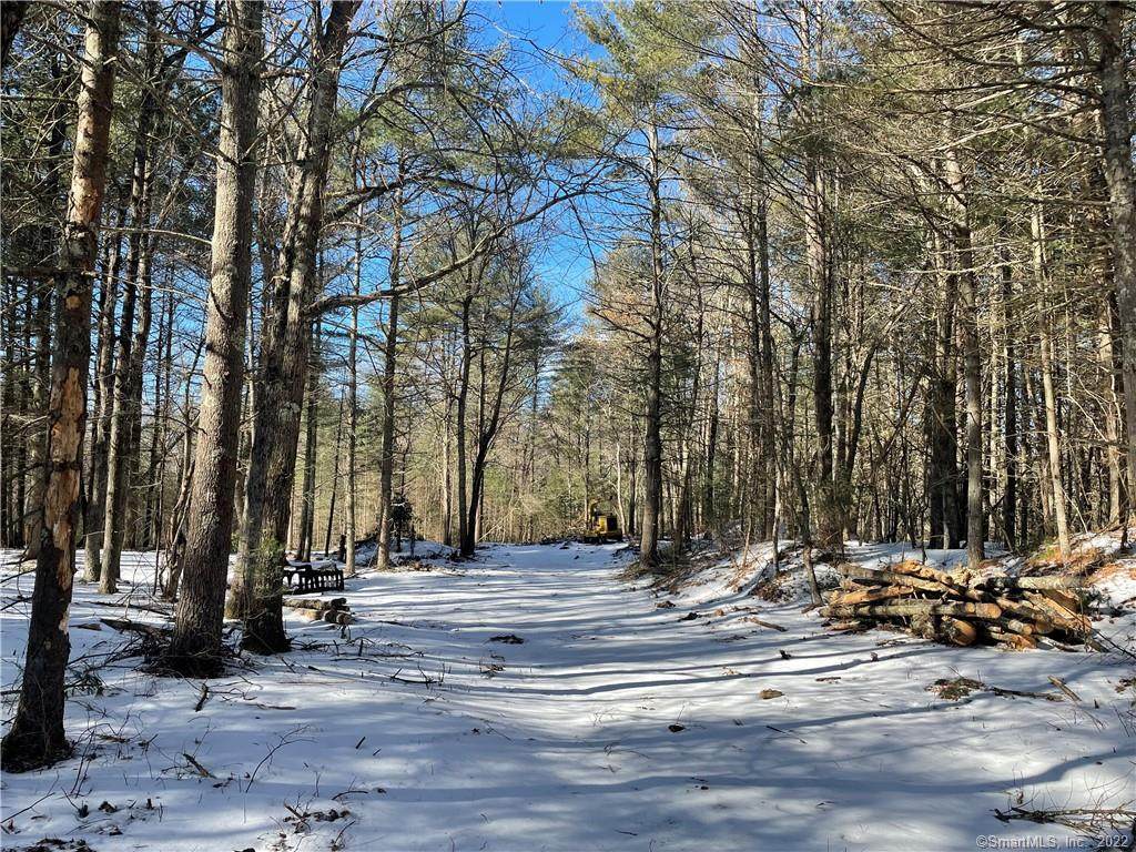 15 County Road - Photo 1