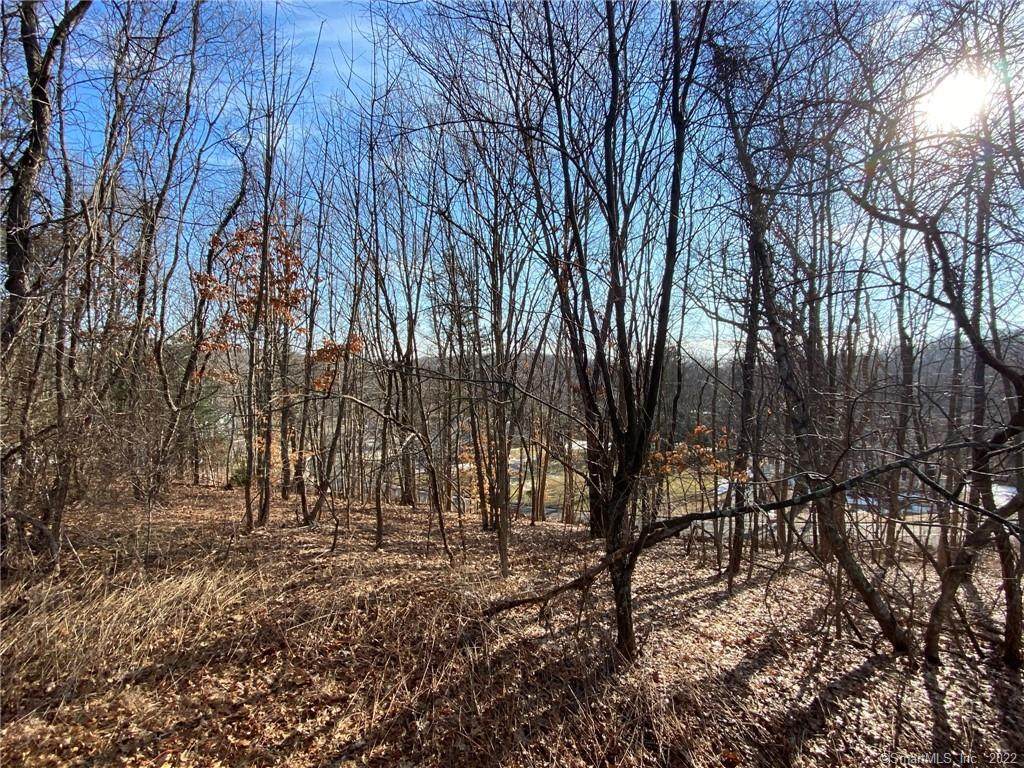 169 Summit Road - Photo 1