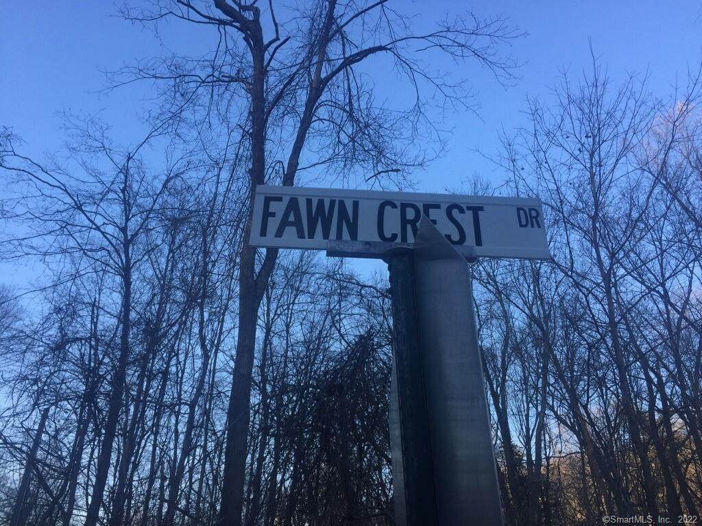 10A Fawn Crest Drive - Photo 1