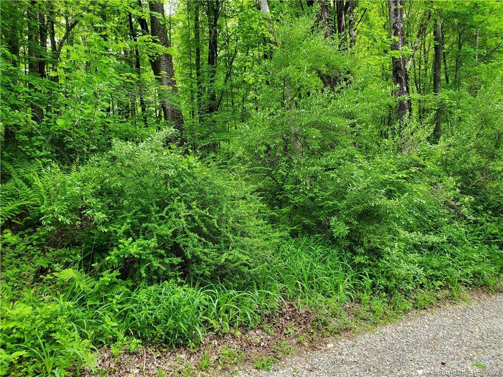54-8 Squash Hollow Road - Photo 1