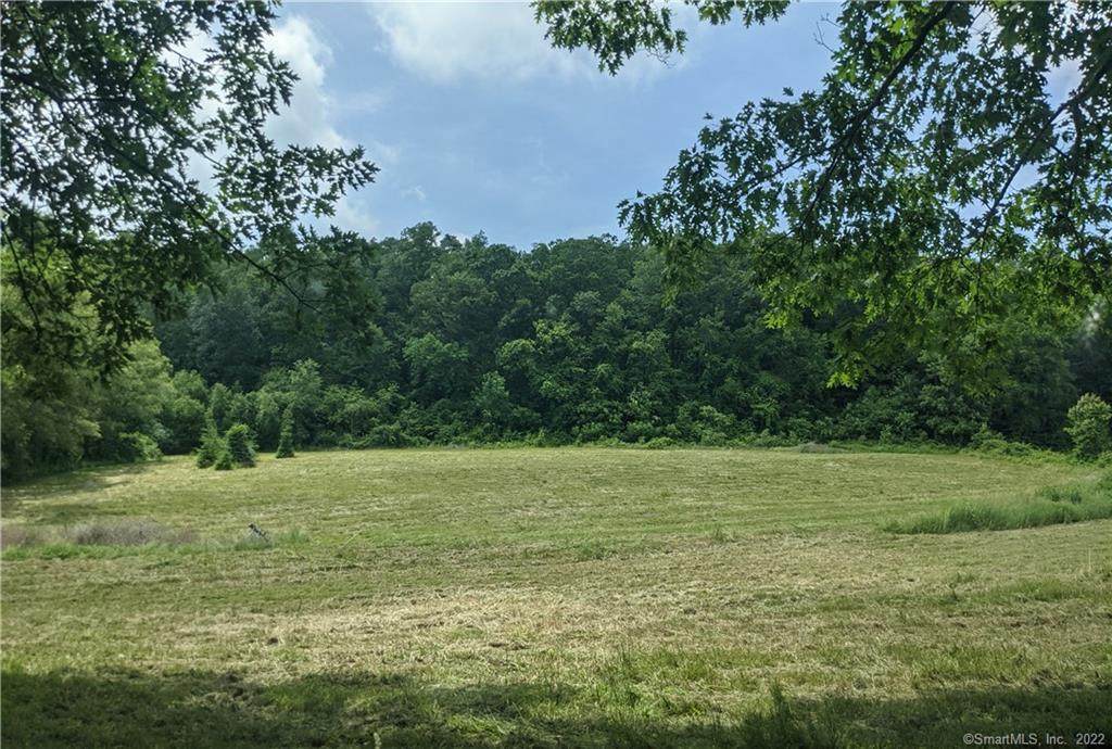 Lot 34 Stickney Hill Road - Photo 1