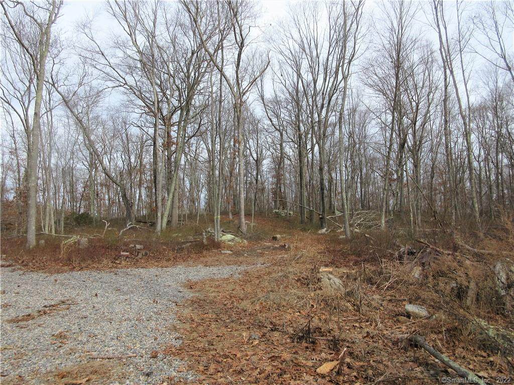 91 Butlertown Road - Photo 1