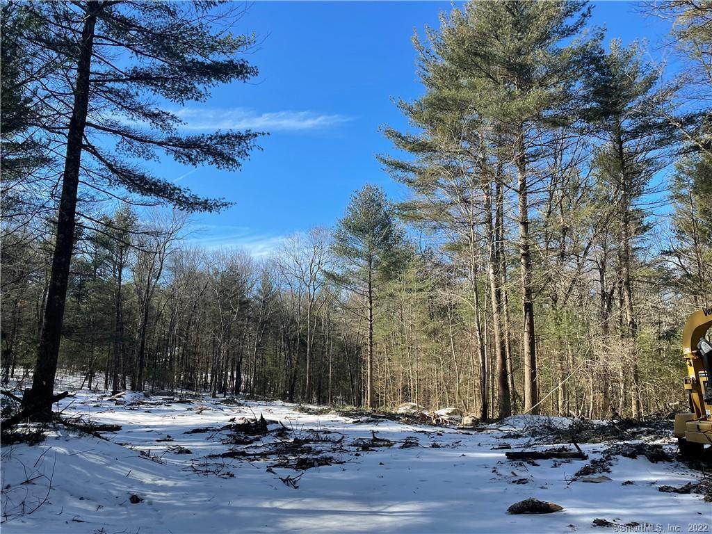0 County Road - Photo 1