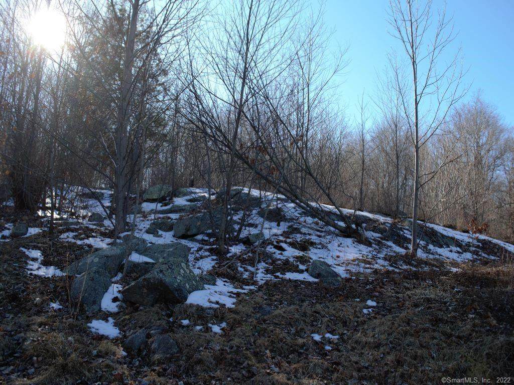 207 Summit Road - Photo 1