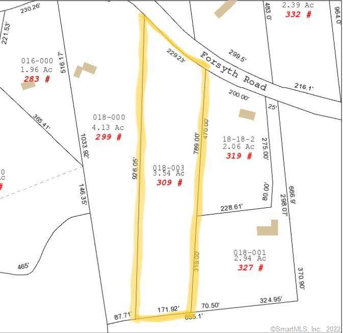 309 Forsyth Road - Photo 1