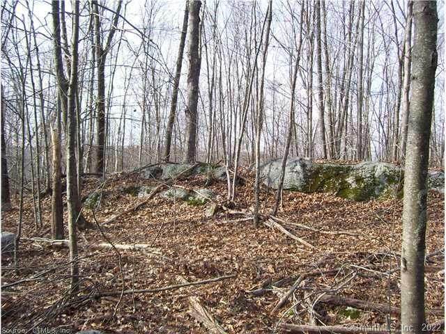 0 Shoddy Mill Road - Photo 1