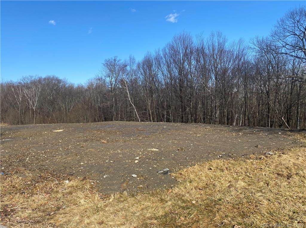118 Silver Brook Lane - Photo 1