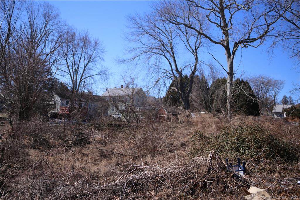 0 Elm Street - Photo 1