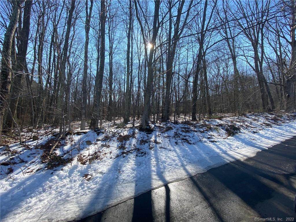 140 Mountain Road - Photo 1