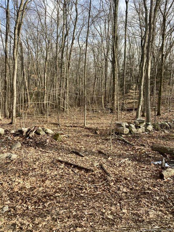 Lot 092 Alger Road - Photo 1