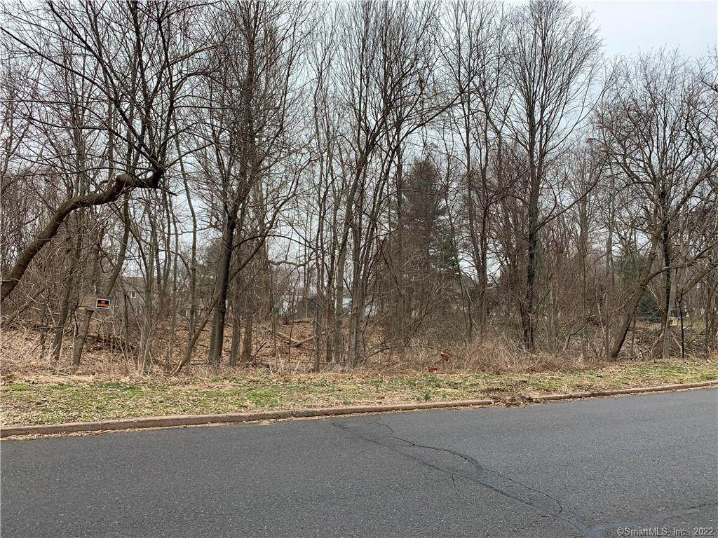31 Joyce Lane - Photo 1
