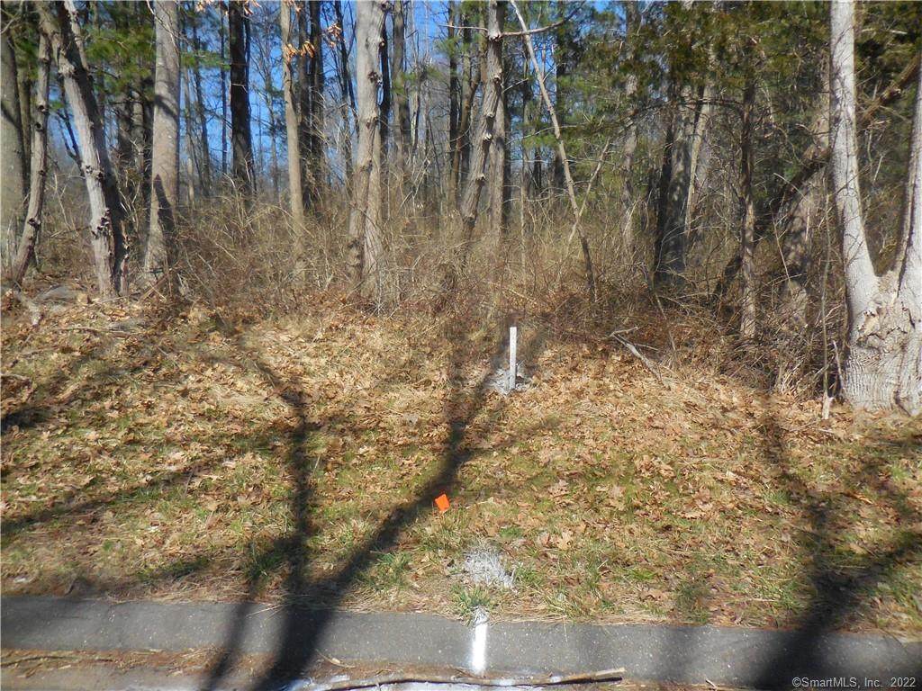 0 Mile Lane - Photo 1