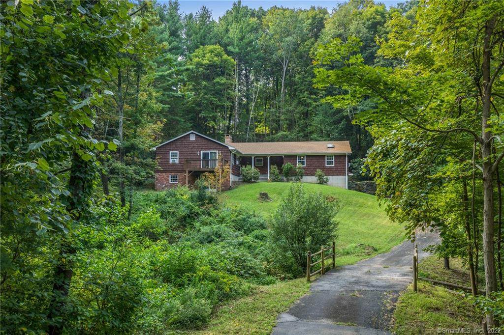 294 Jeremy Swamp Road - Photo 1