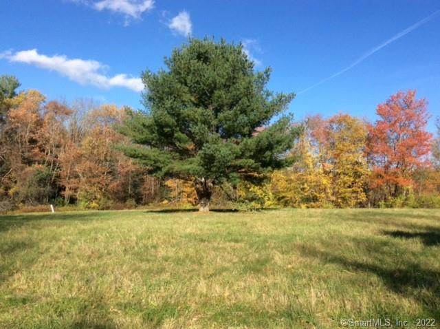 0 Maple View Trail - Photo 1