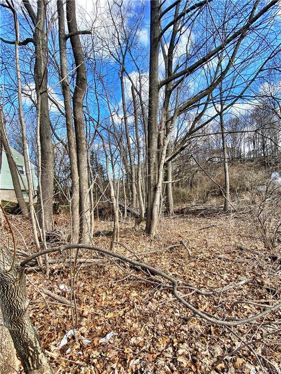 175 Colony Street - Photo 1
