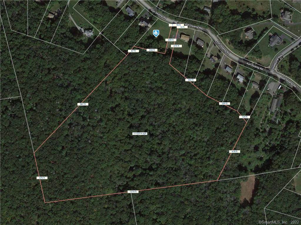 390 Ash Swamp Road - Photo 1