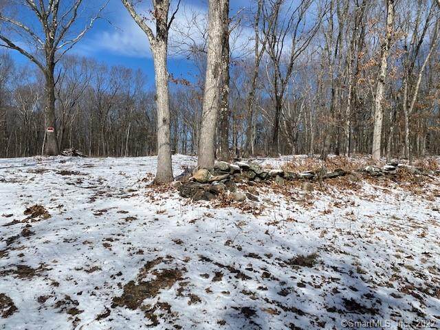 100 Cedar Hill Road - Photo 1