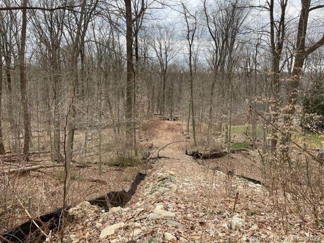 109 Signal Hill Road - Photo 1
