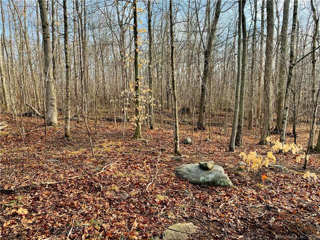 113 Buntz Road - Photo 1
