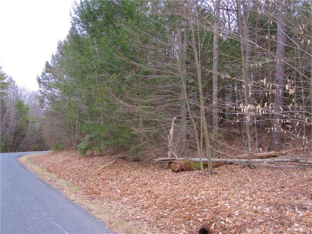 3 Windsor Lane - Photo 1