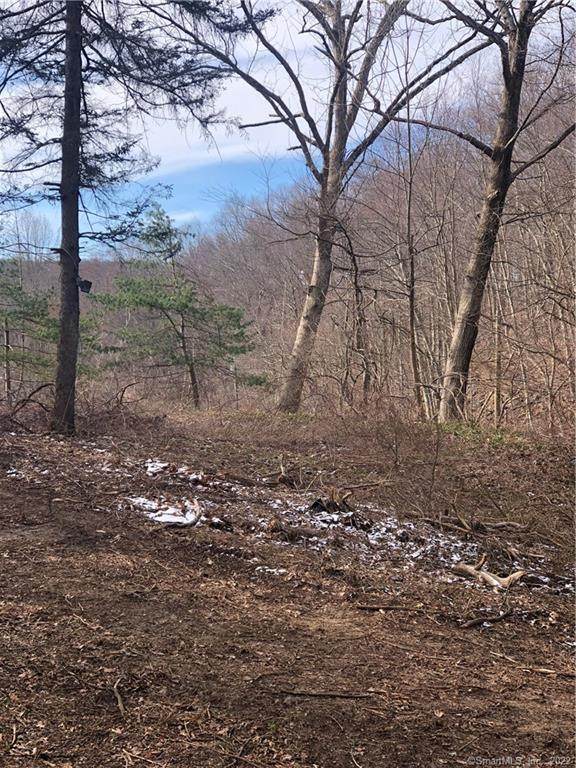 0 Krodel Road - Photo 1