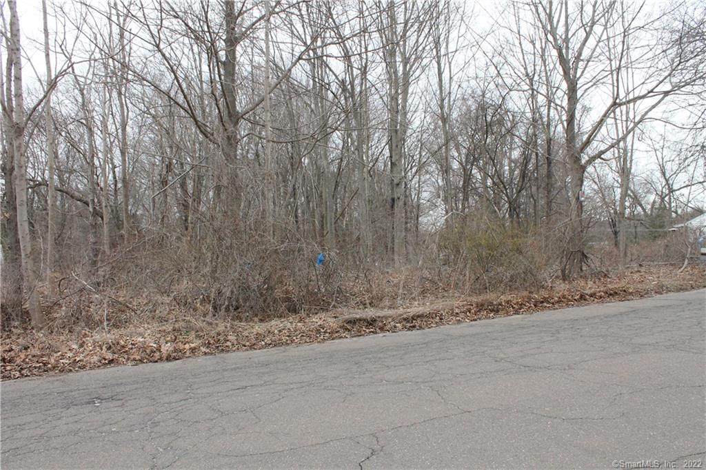 123 Old Stagecoach Road - Photo 1
