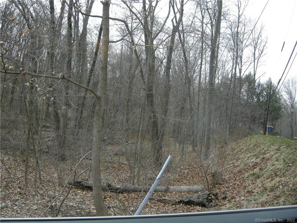 280 Jeremy Swamp Road - Photo 1