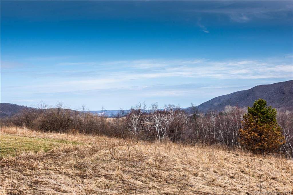 57 Quarry Hill Road - Photo 1