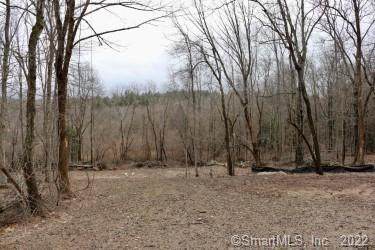 74 Lane Hill Road - Photo 1
