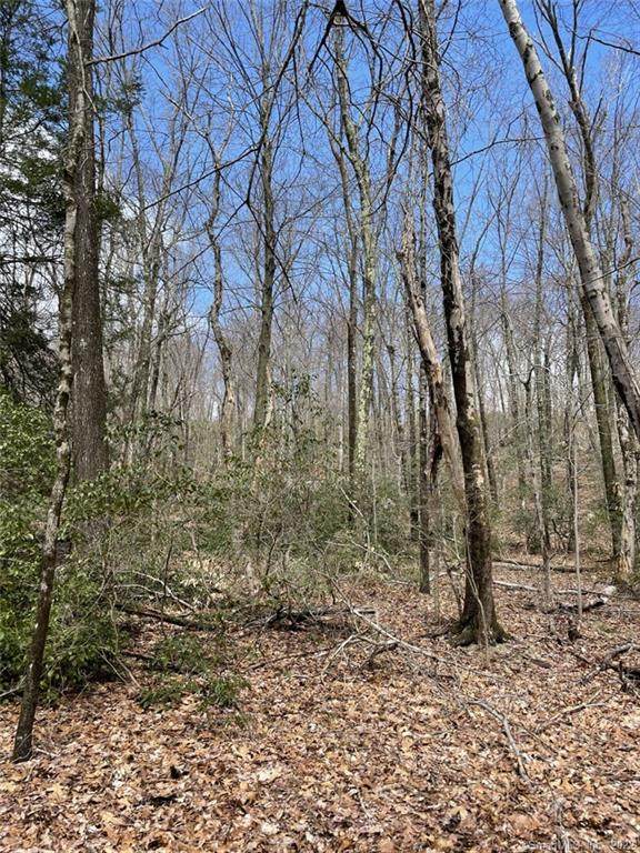 lot#2 Swain Johnson Trail - Photo 1
