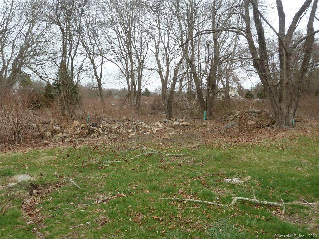 81 Palmer Neck Road - Photo 1