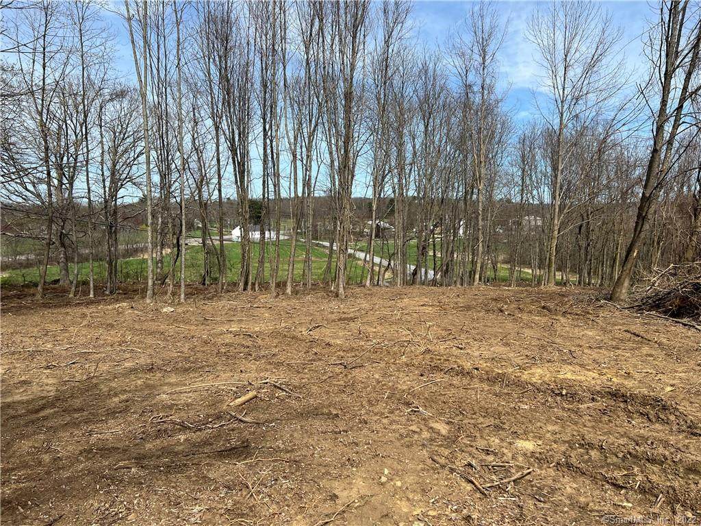 Lot 1 Prince Hill Road - Photo 1