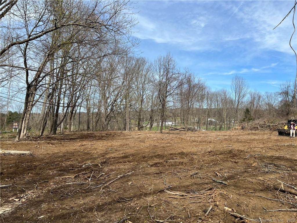 Lot 2 Prince Hill Road - Photo 1