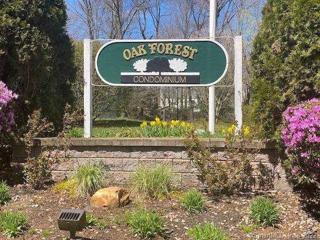 25 Oak Forest Drive - Photo 1
