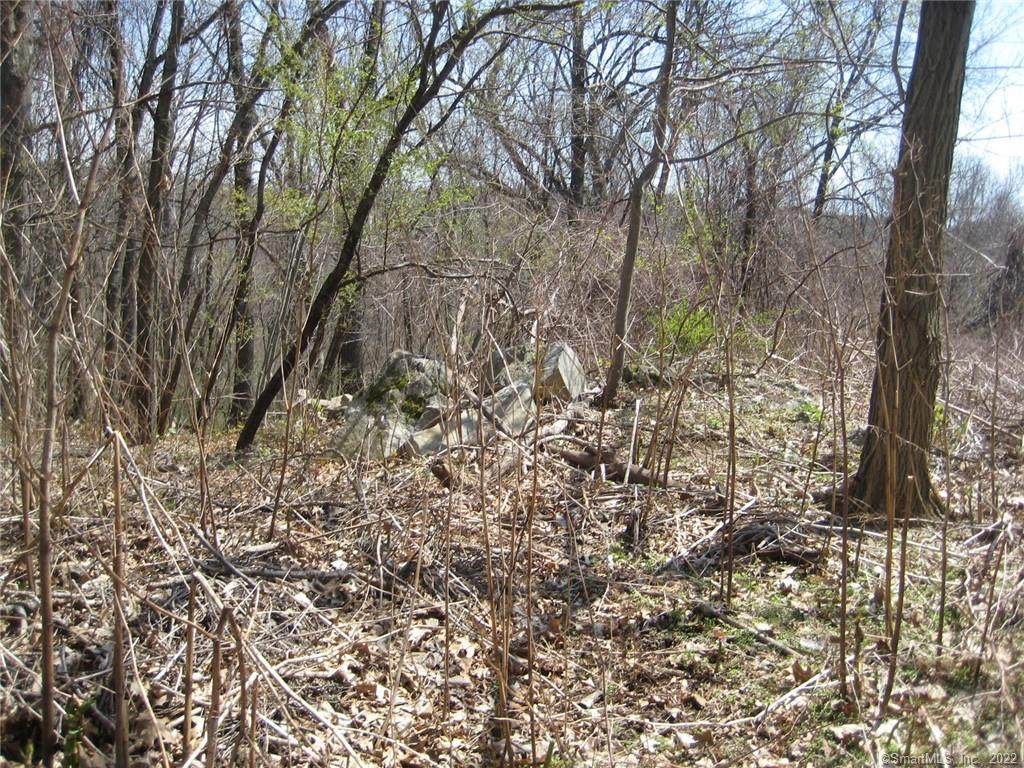 00 Chester Avenue - Photo 1