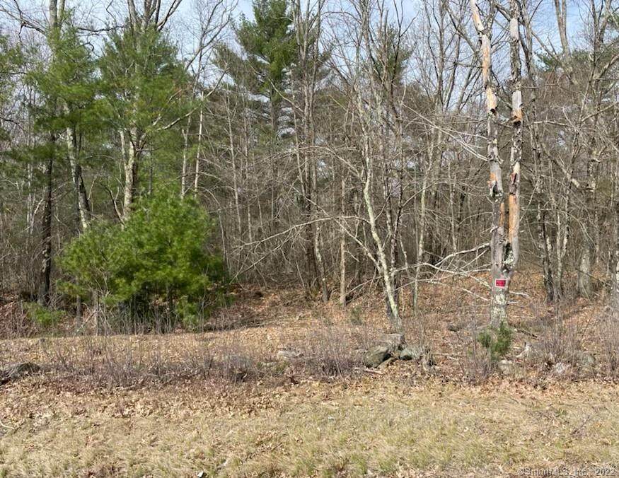 000 Reardon Road - Photo 1