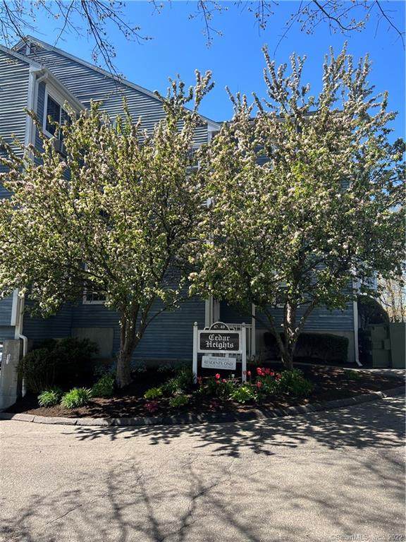 47 Cedar Street - Photo 1
