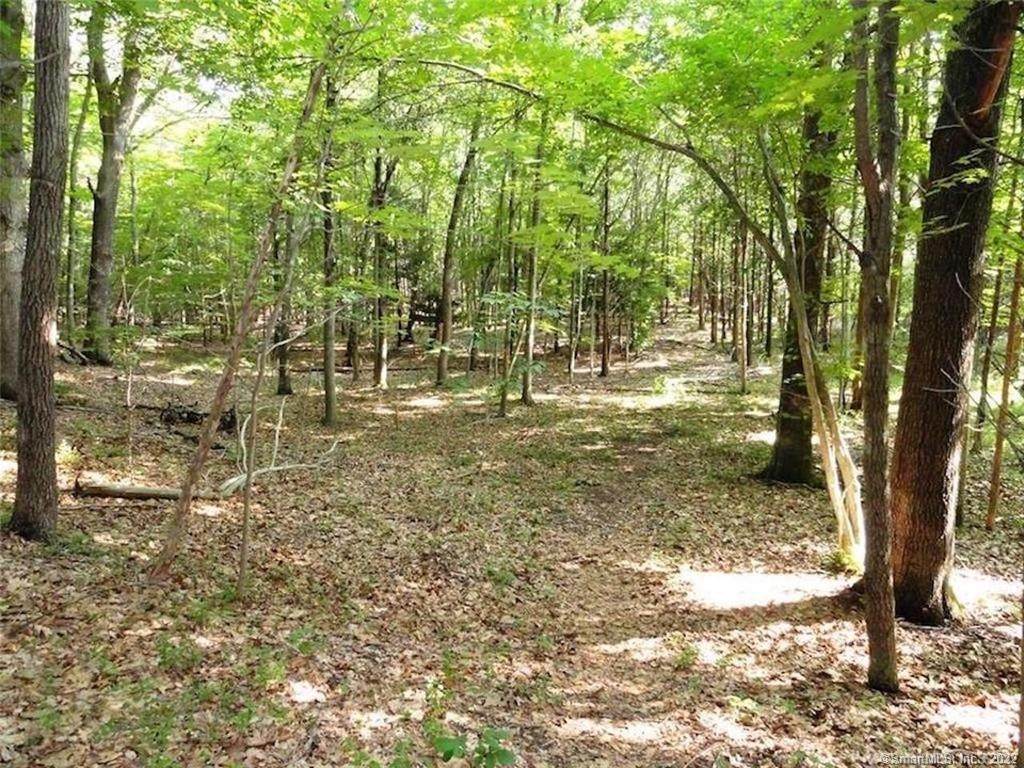 Lot56 Roast Meat Hill Road - Photo 1