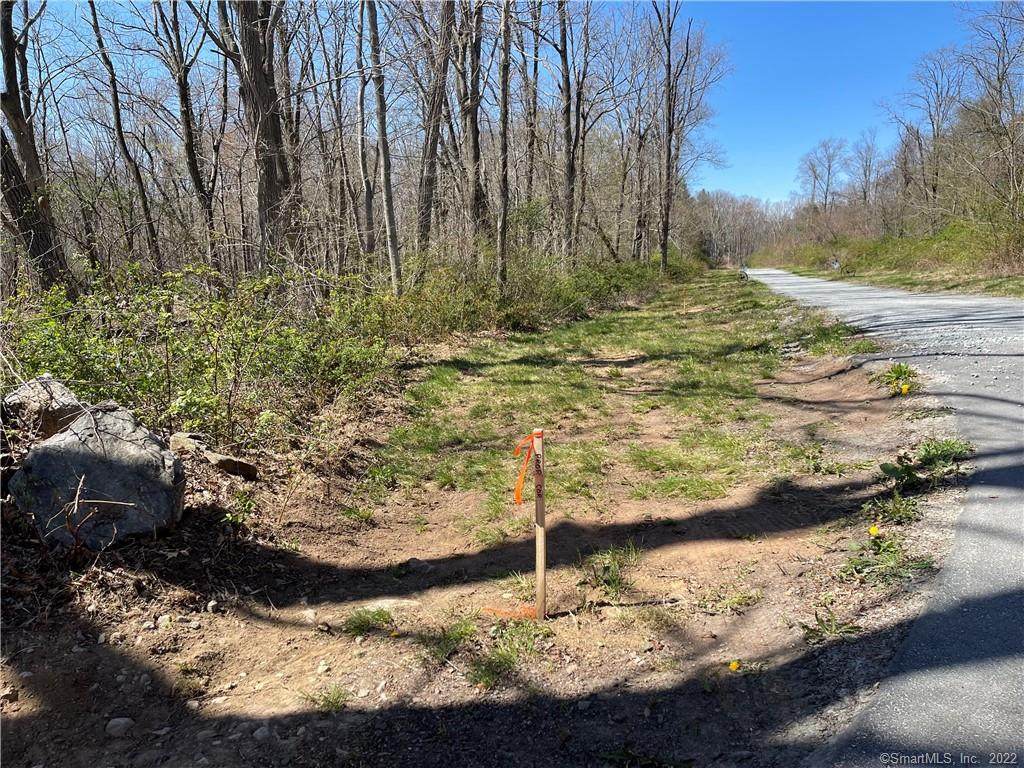 Lot 1 Pickerel Lake Road - Photo 1