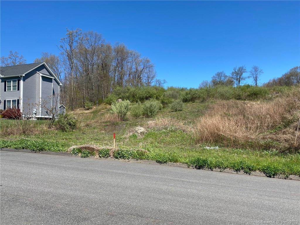 Lot#22 Loop Road - Photo 1