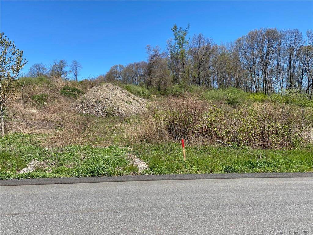 Lot#23 Loop Road - Photo 1