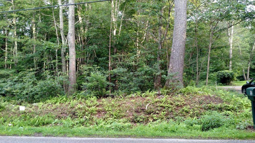 54 Doubleday Road - Photo 1
