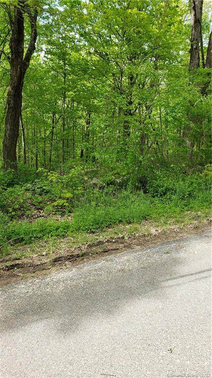 170 Brushy Hill Road - Photo 1