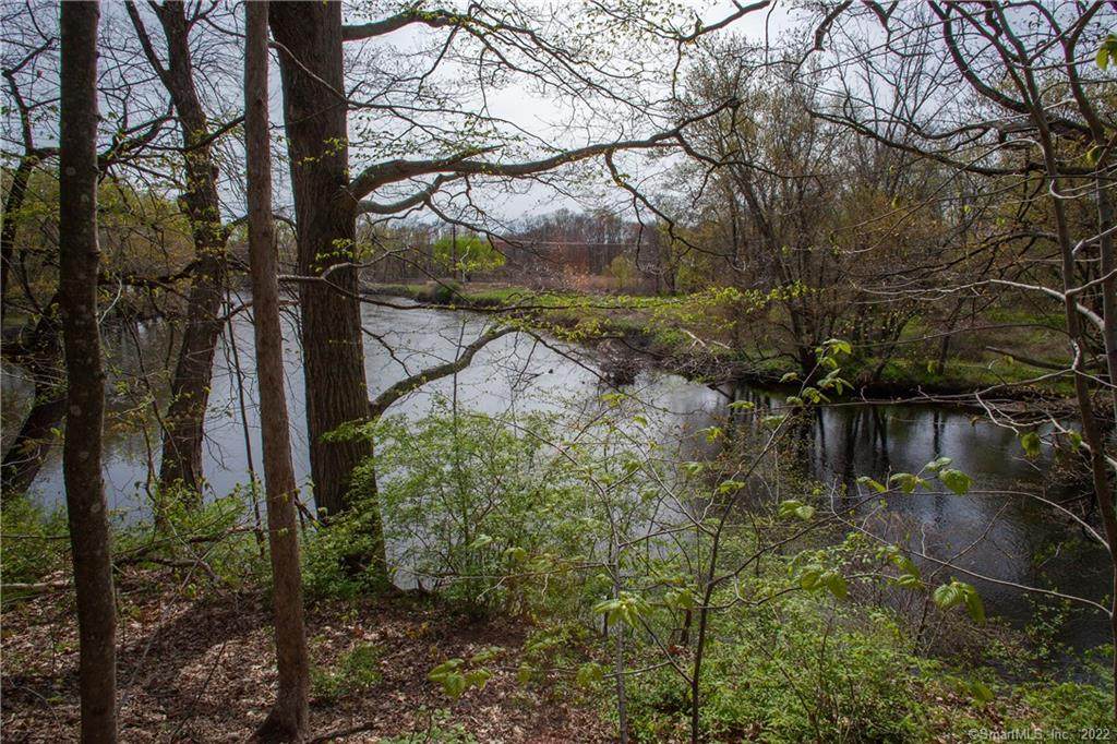 42 Wood Duck Lane - Photo 1